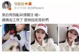 吃瓜二三事,揭秘娱乐圈幕后真相