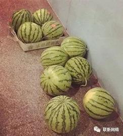 附近吃瓜,吃瓜群众的味蕾盛宴