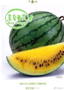 吃瓜群众侃世界,吃瓜群众视角下的世界风云录