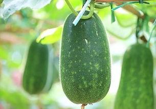 51吃瓜吃最新最热的瓜,揭秘娱乐圈最新最热瓜料，带你领略明星幕后故事