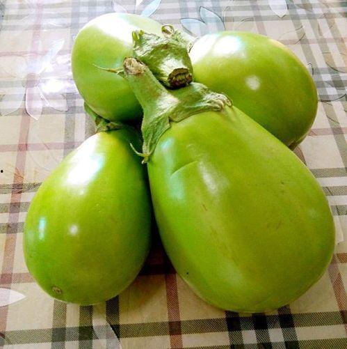 汾阳吃瓜解说,揭秘民间趣味，品味生活百态