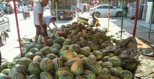 汾阳吃瓜解说,揭秘民间趣味，品味生活百态