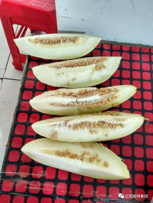 吃瓜视频区,热门事件背后的真相与笑料