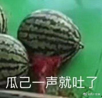 吃瓜把自己吃吐了