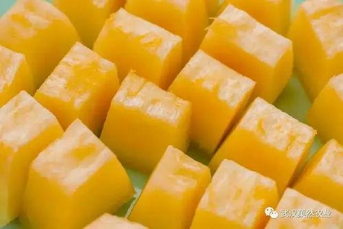 蜜瓜蛋糕吃瓜群众,甜蜜诱惑，吃瓜群众的味蕾盛宴