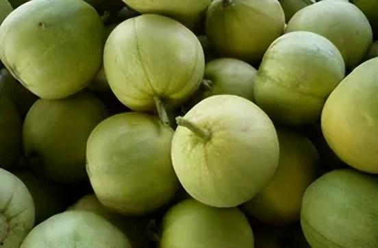 甜瓜视频吃瓜,揭秘娱乐圈吃瓜背后的真相