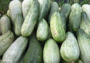 孕妇可以吃酥瓜,酥瓜，营养美味两不误