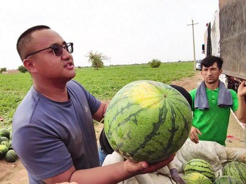 空间吃瓜的图片,揭秘虚拟世界中的趣味瞬间
