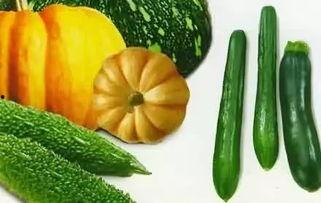 吃瓜的原图,揭秘“吃瓜群众”背后的真实故事