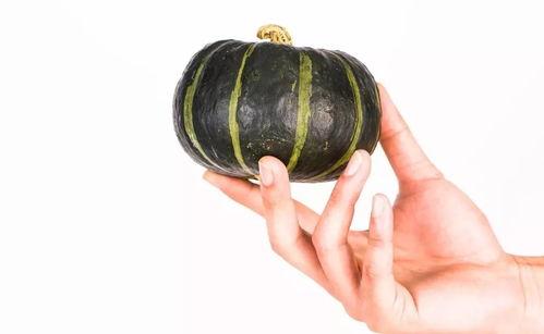 mach超级困吃瓜,揭秘吃瓜界的“困兽之斗”