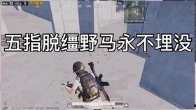 和平吃瓜主播名字,揭秘网络红人的瓜田传奇