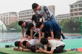 郑财操场吃瓜,揭秘校园里的“瓜田”风云