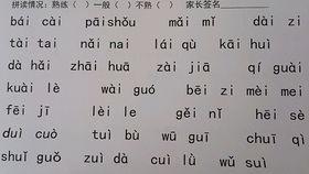 吃瓜歌拼音,探寻“吃瓜歌”背后的趣味与魅力