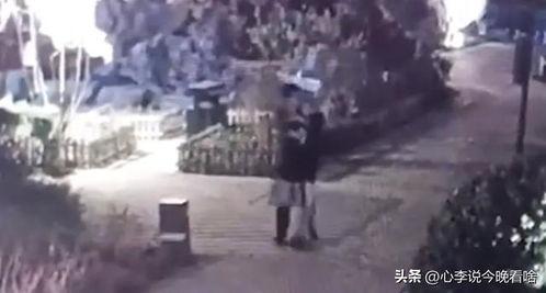 暗黑吃瓜最新爆料视频,最新爆料视频深度解析