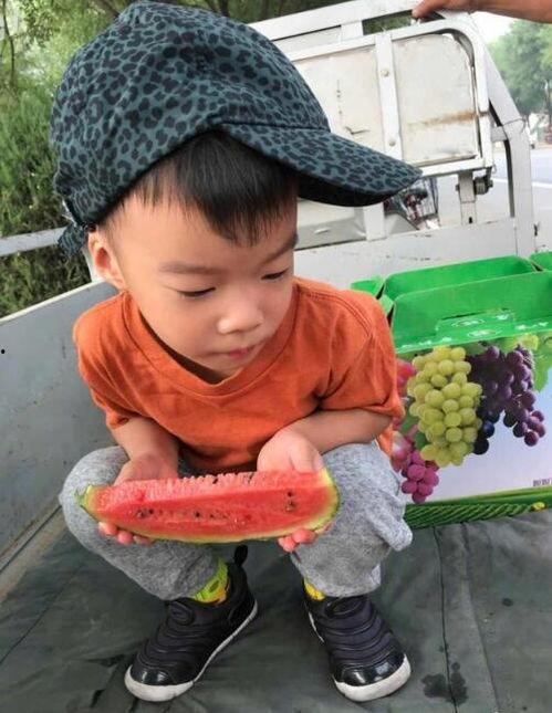 瓜娃吃不吃,揭秘瓜娃的饮食习惯