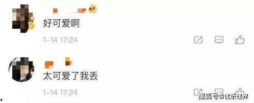 微信吃瓜的视频,热门话题背后的真相与笑料