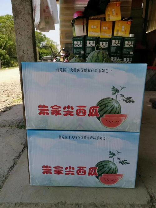 吃瓜群众苏烟,吃瓜群众的独特视角