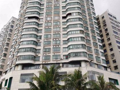 海滨大厦38楼吃瓜,揭秘都市高空中的吃瓜盛事