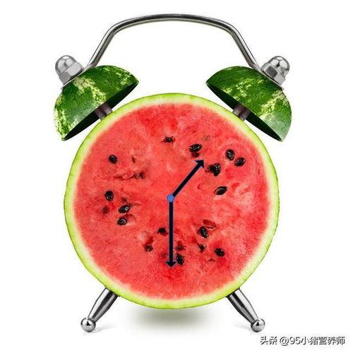 小西瓜儿童吃瓜,快乐吃瓜，健康成长