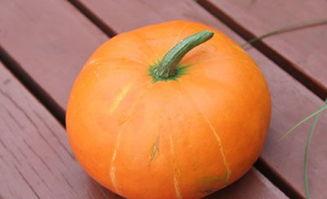 吃疏瓜吃的效果,夏日消暑、健康养生的美味选择