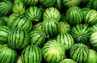 吃瓜群名字,揭秘吃瓜群里的那些事儿