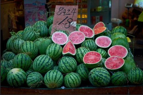 吃瓜驿站上海,揭秘魔都美食与娱乐的交汇之地