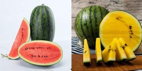 国内免费吃瓜网站,畅享娱乐资讯的绿色通道