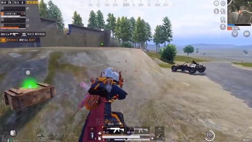 绿洲吃瓜和平精英,平精英中的欢乐时光