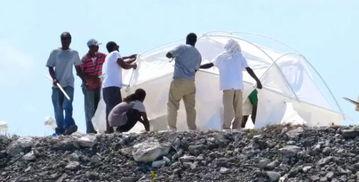 音乐节视频吃瓜,一场视觉与听觉的狂欢，吃瓜群众见证的精彩瞬间