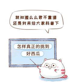 如何拒绝吃瓜收费,维护个人权益的智慧之道