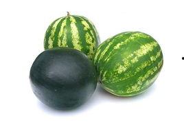 海龙湾吃瓜事件,揭秘网络舆论的风暴与反思