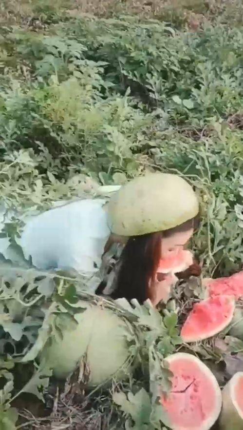 东北姐姐吃瓜,揭秘娱乐圈那些事儿