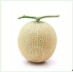 吃瓜群众淡斑,美丽肌肤一夏拥有