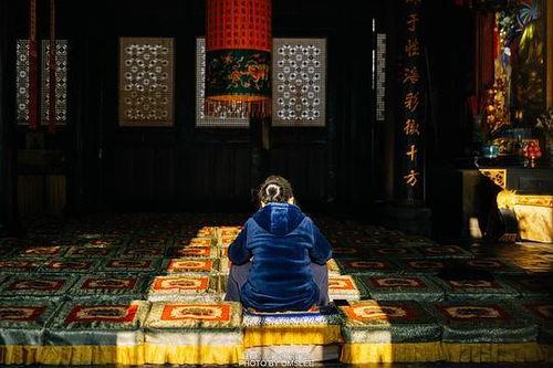 吃瓜路人张先生,揭秘娱乐圈背后的故事