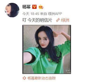 吃瓜沈医生,揭秘娱乐圈背后的健康秘密