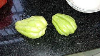 兔儿瓜怎么吃最好,解锁美味新体验