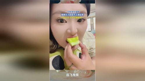 吃瓜小咪,揭秘娱乐圈那些不为人知的幕后故事