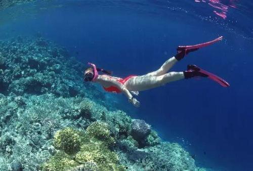 潜水圈吃瓜,揭秘水下世界的趣味八卦