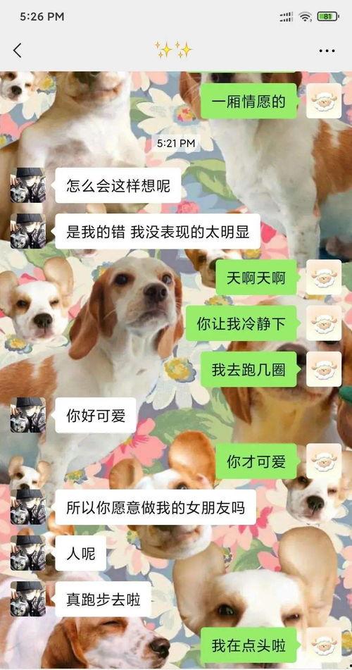 吃瓜视频吃狗粮,吃瓜视频里的狗粮盛宴