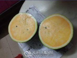 信宜吃瓜,瓜果飘香，品味田园生活