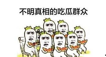 网上的吃瓜群众,揭秘网络热点背后的真相