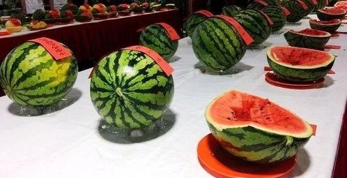 东吃五谷西吃瓜,探寻五谷与瓜果的独特风味