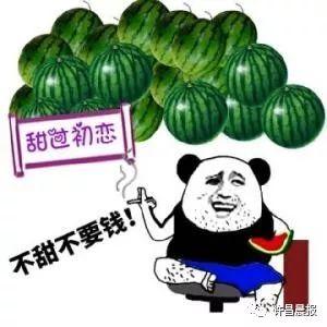 吃瓜大白23,一场关于瓜农生活的深度对话