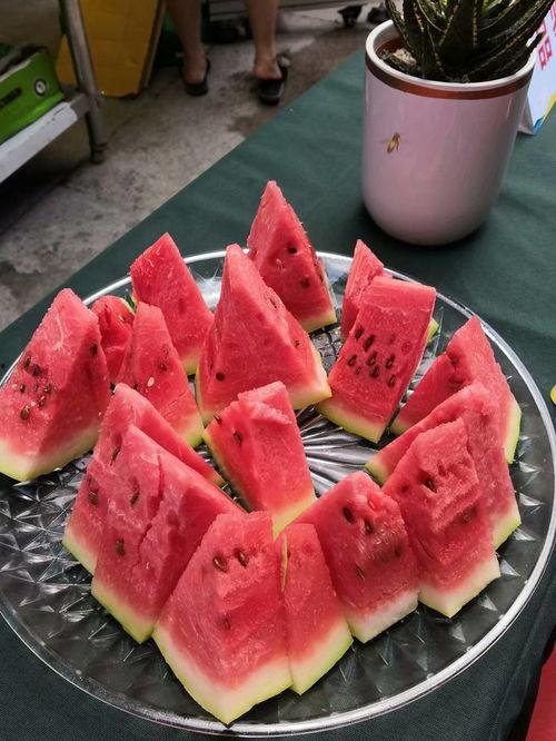 吃瓜王少女,网络红人的崛起与争议