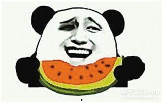 吃瓜群众阿星,吃瓜群众的视角，揭秘娱乐圈风云