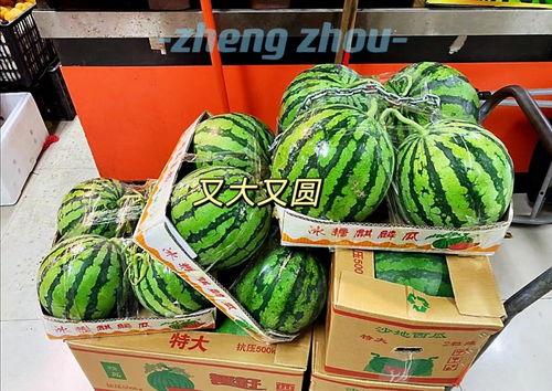 郑州工厂吃瓜,清凉一夏，欢乐无限