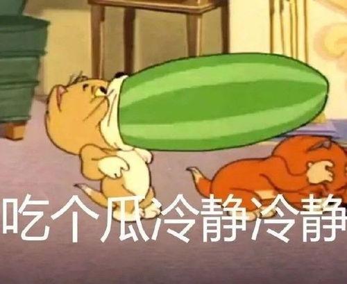 猫和老鼠吃瓜喵,一场关于瓜的趣味对决