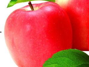 宝贝吃苹果哈密瓜,苹果与哈密瓜的甜蜜邂逅