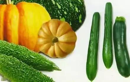 二瓜吃瓜精,揭秘娱乐圈背后的那些事儿