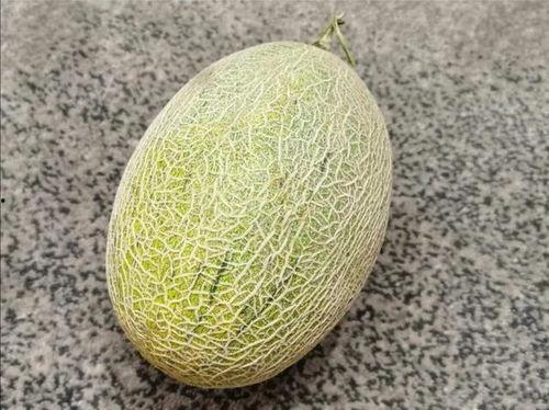 吃蜜瓜喉咙痒痒,甜蜜与不适的交织